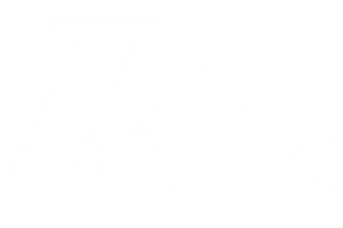 Shop Kyle Larson